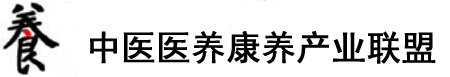 大鸡巴操我骚逼视频